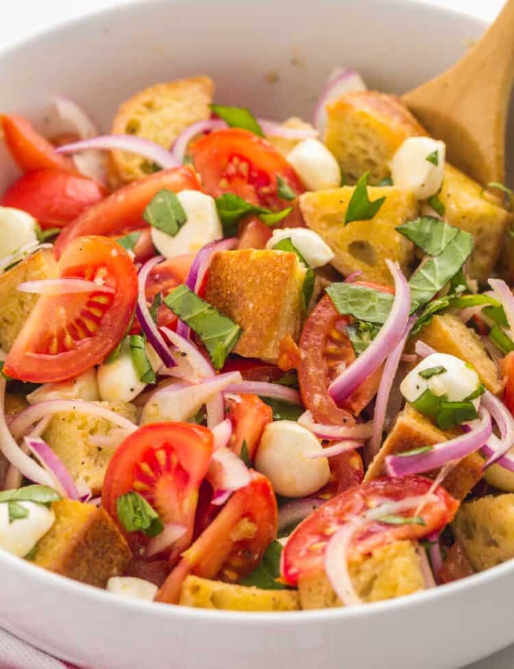 a large white ceramic bowl filled with panzanella salad of bread cubes, tomatoes, onions, herbs, and mozzarella cheese