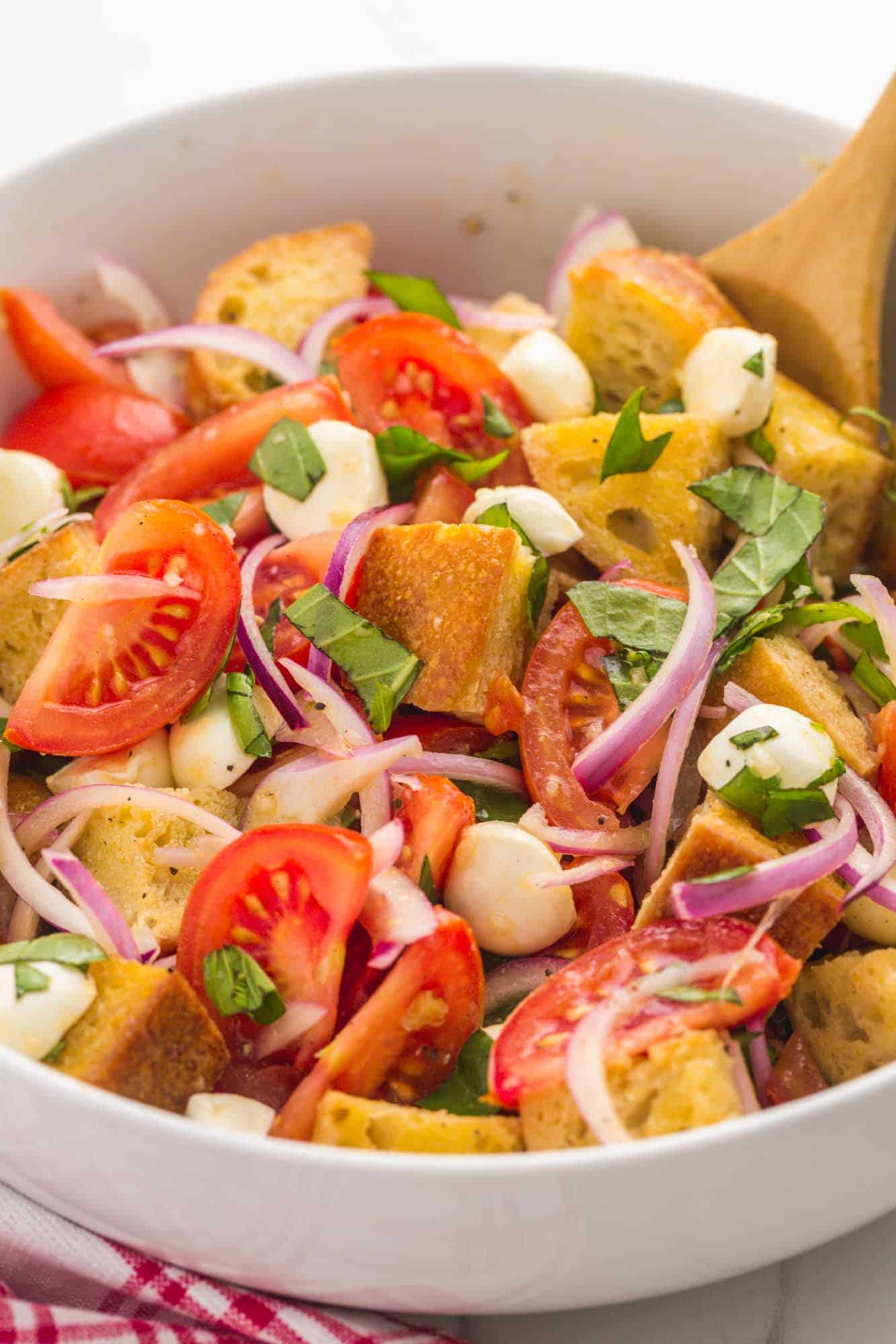 a large white ceramic bowl filled with panzanella salad of bread cubes, tomatoes, onions, herbs, and mozzarella cheese