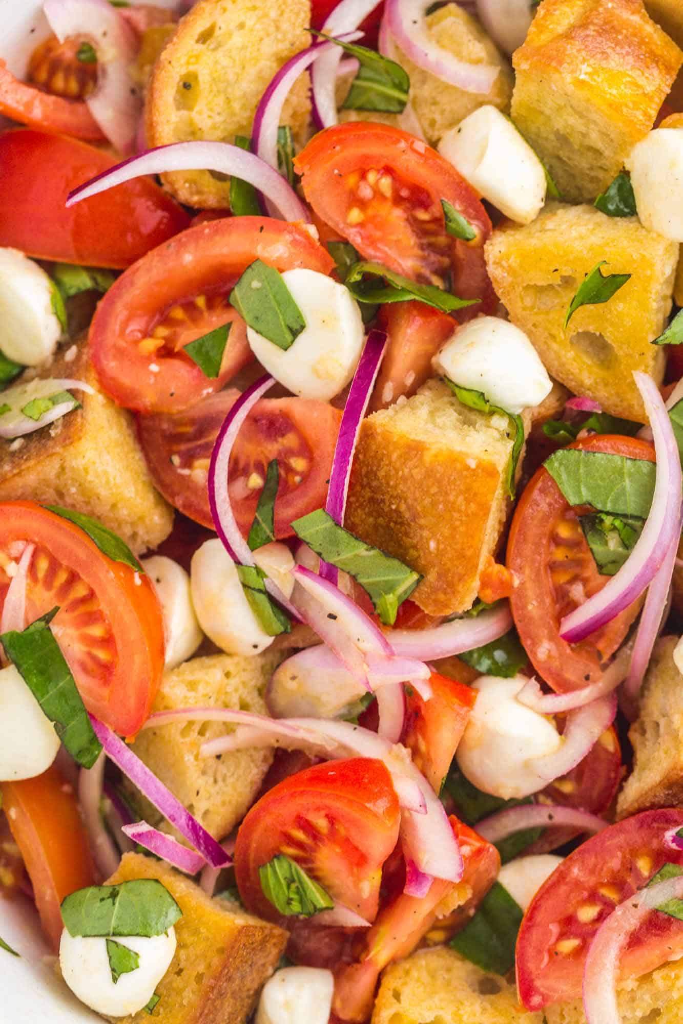 closeup image of panzanella salad with bread, tomatoes, onions, cheese, and herbs