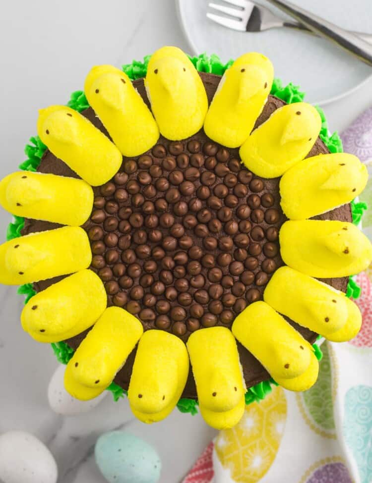 a chocolate cake viewed from above, decorated to look like a sunflower with yellow marshmallow peeps and chocolate chips