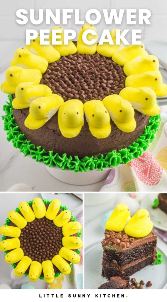 Three images of chocolate sunflower cake. Title on images says Sunflower Peep Cake