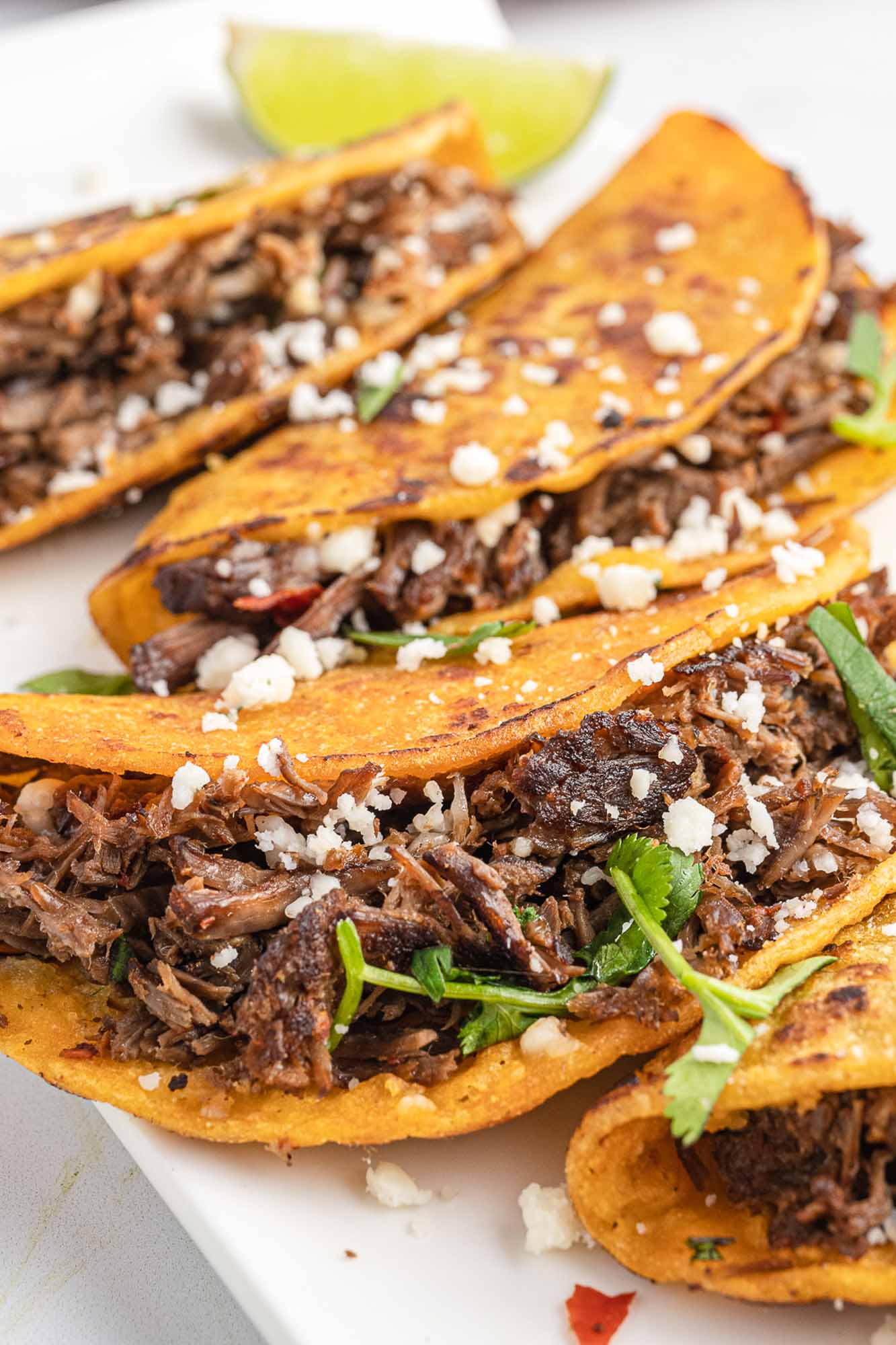 Stuffed birria tacos topped with cotija cheese and fresh cilantro