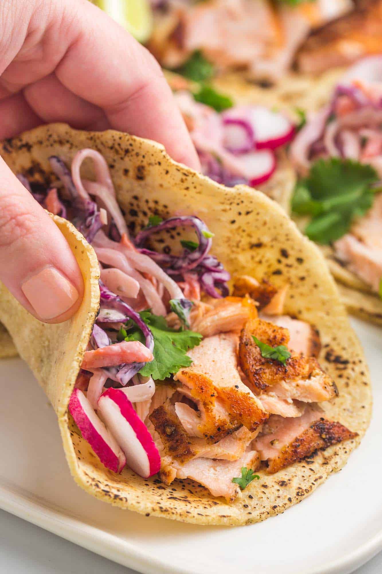 a salmon taco topped with radishes and slaw, wrapped in a corn tortilla, being held.