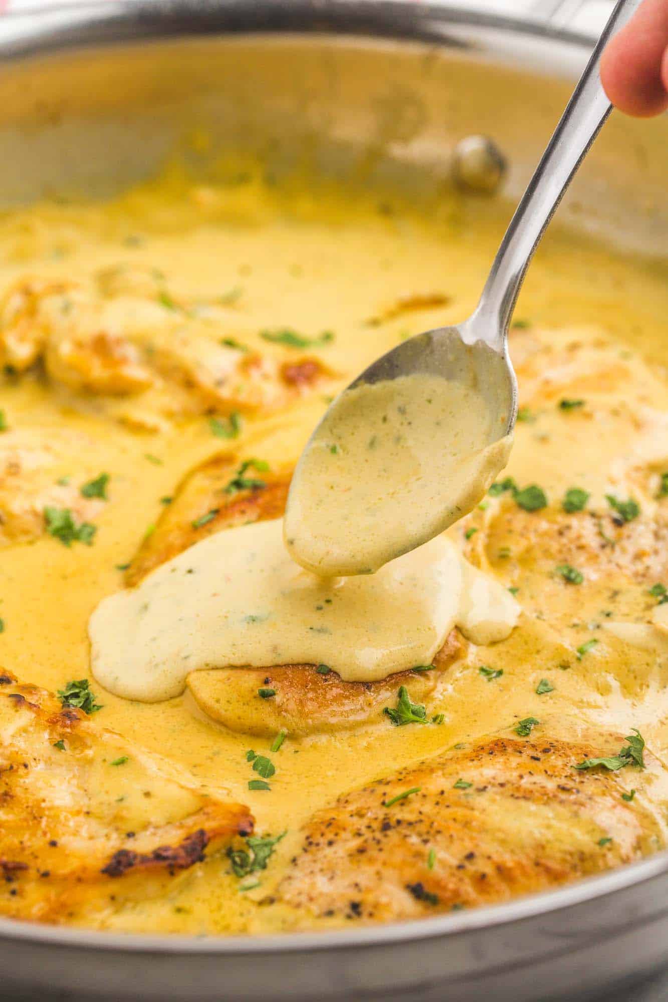 Chicken in boursin cream sauce in a skillet. A spoon is adding sauce over one of the chicken pieces. 