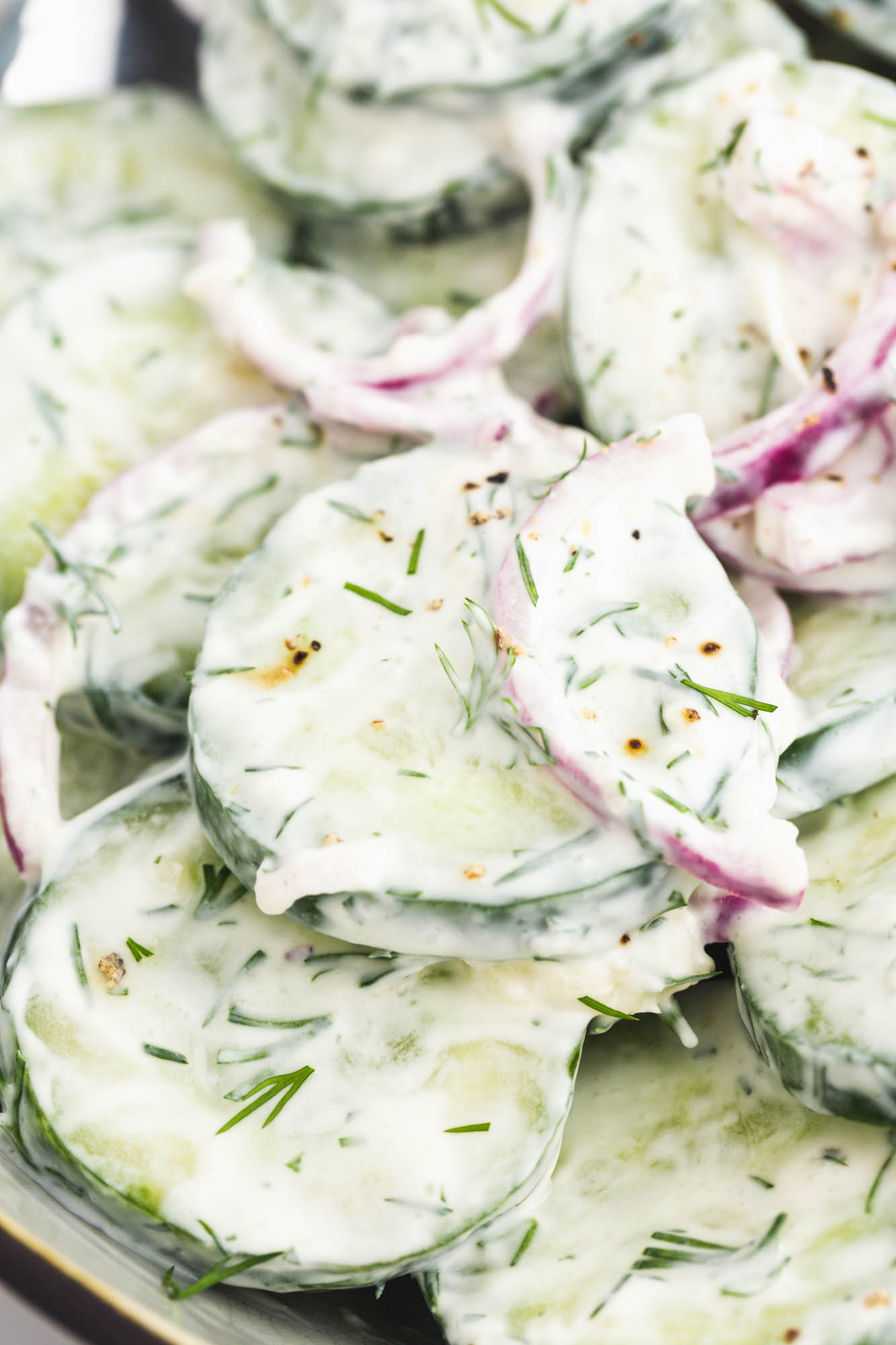 Closeup view of cucumber salad with a creamy dressing, dill, and red onions.
