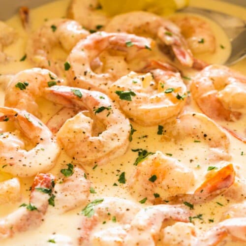 Easy Creamy Garlic Shrimp Recipe - Little Sunny Kitchen