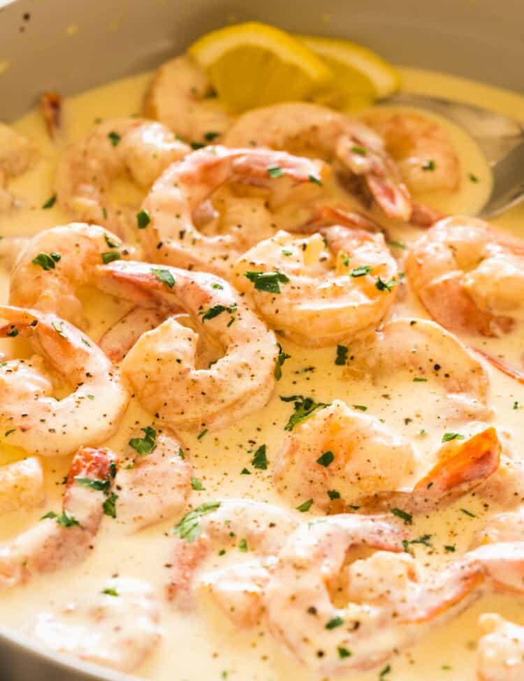 Seafood Recipes including fish, shrimp, crab, clams, and more!