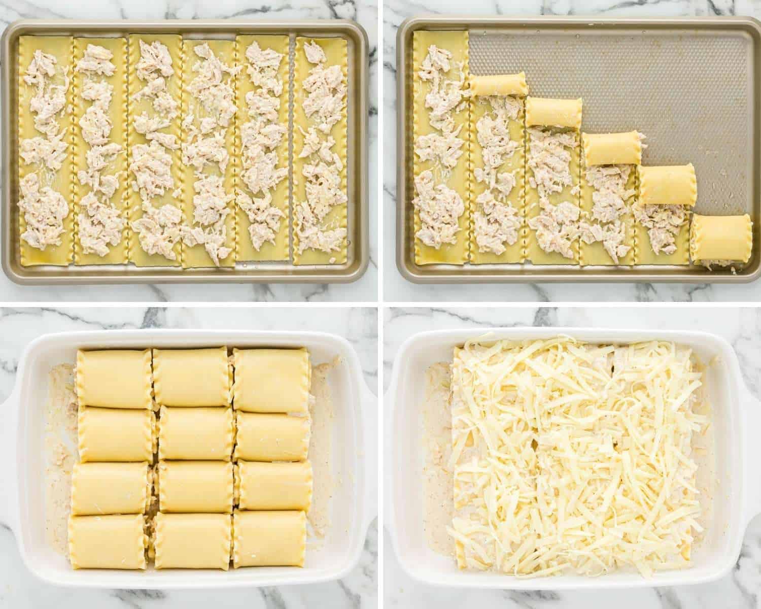 Collage of four images showing how to make chicken alfredo roll ups using cooked lasagna sheets