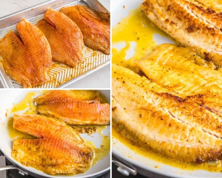 Best Pan Fried Tilapia Recipe Little Sunny Kitchen