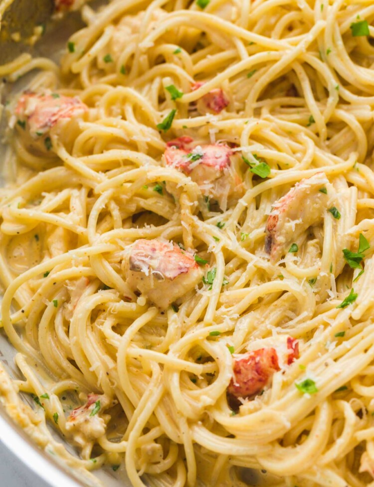 Close up shot of creamy lobster spaghetti pasta with pieces of cooked lobster, grated parmesan, and parsley.