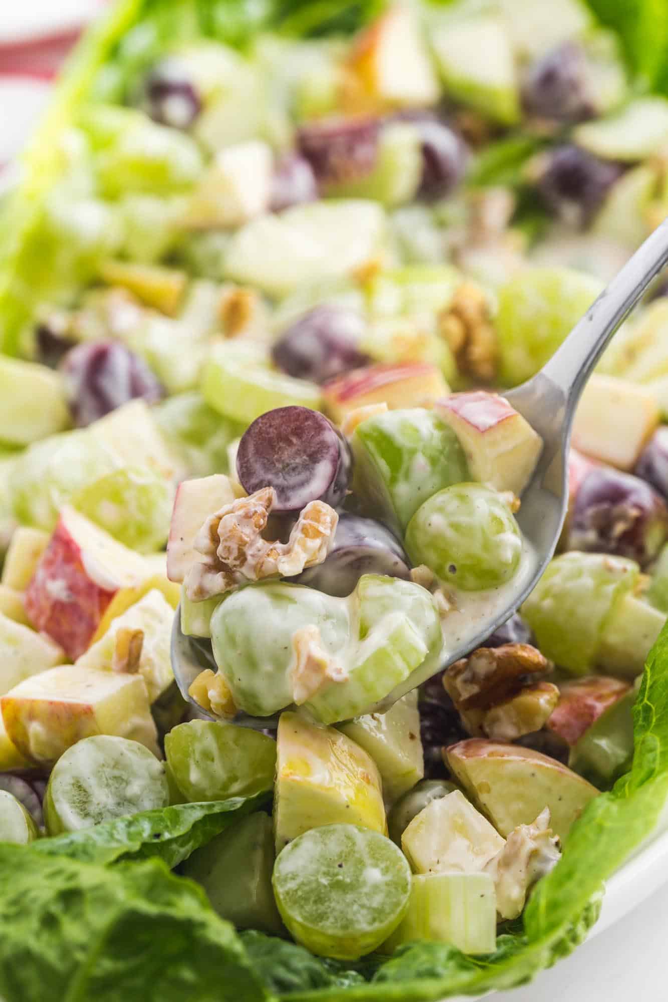 Closeup view of homemade waldorf salad