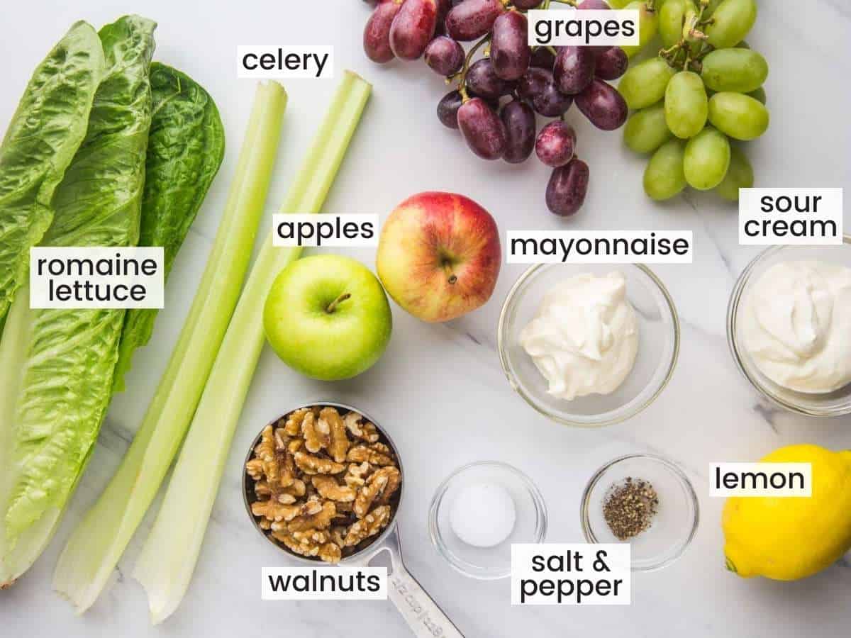 The ingredients in waldorf salad, all on a counter, viewed from above. Including lettuce, celery, apples, grapes, walnuts, and dressing ingredients.