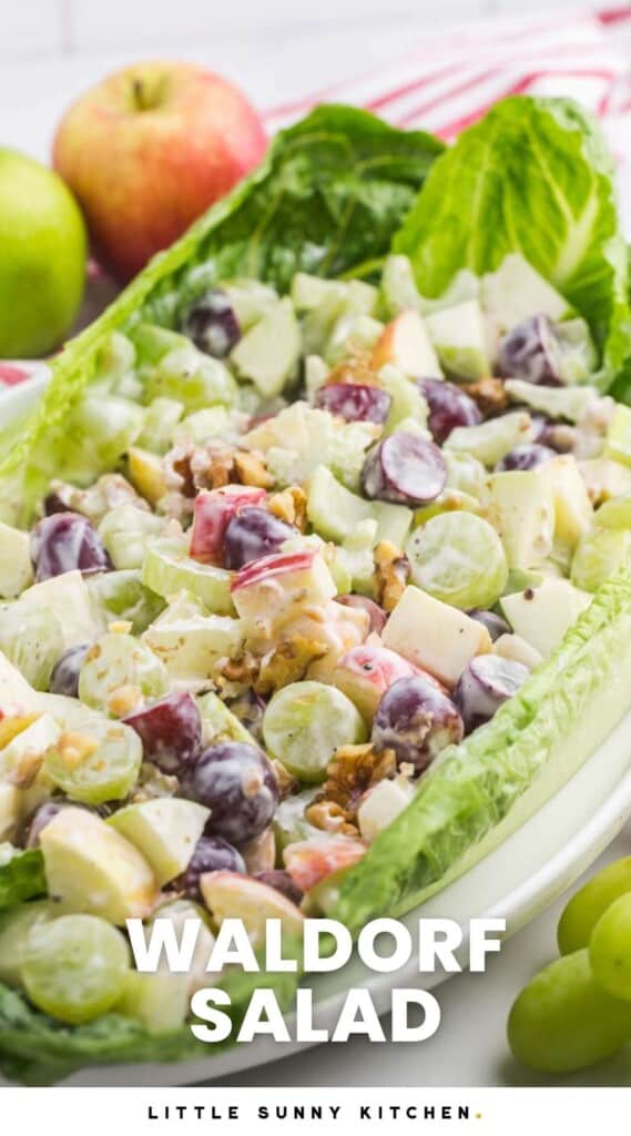 waldorf salad made with apples and grapes in a creamy dressing, served on top of romaine leaves. Text at bottom of Image says Waldorf Salad in capital letters.