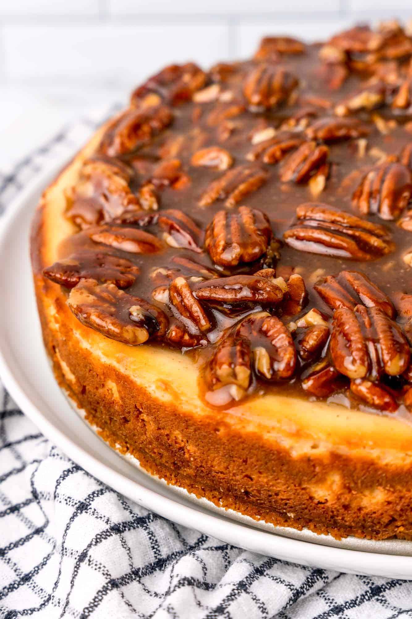 closeup view of a cheesecake with pecan pie topping, viewed from the side