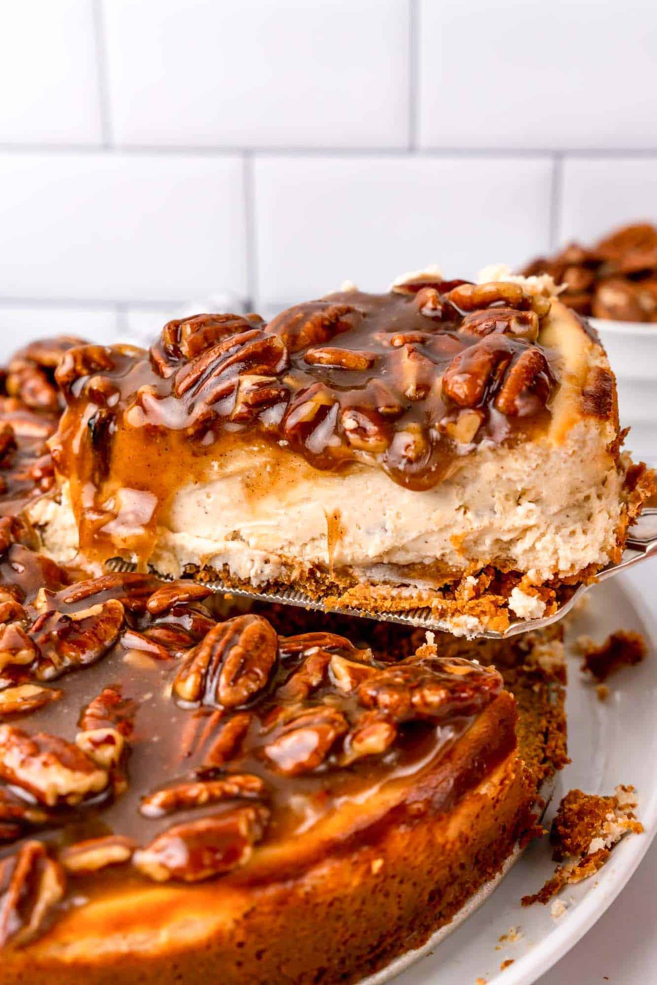 a slice of pecan pie cheesecake being lifted up from the entire pie