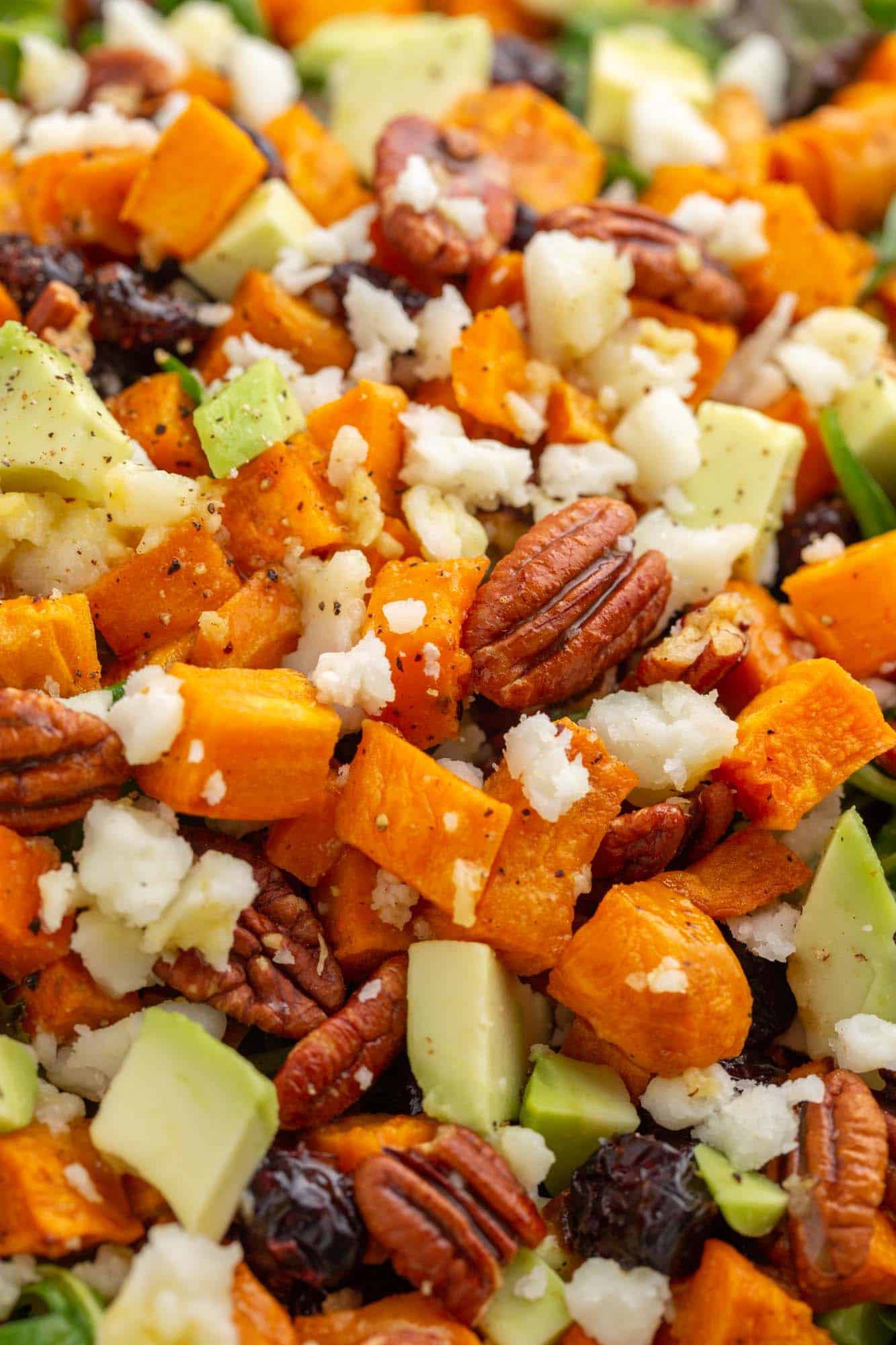 closeup view of a salad with sweet potatoes, pecans, goat cheese, and avocado