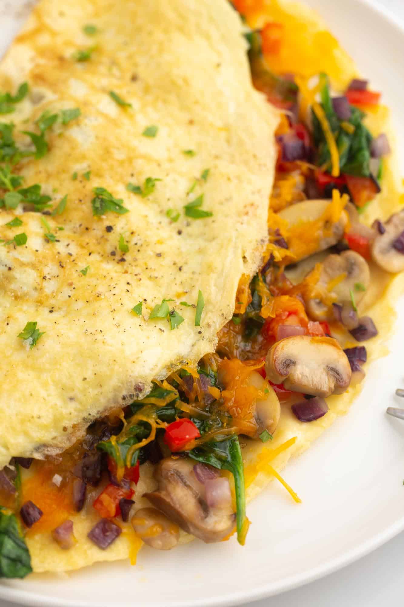 closeup of a veggie omelet with cheese