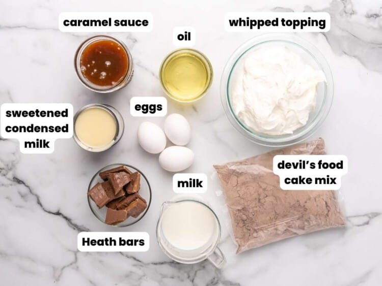 Easy Better Than Sex Cake