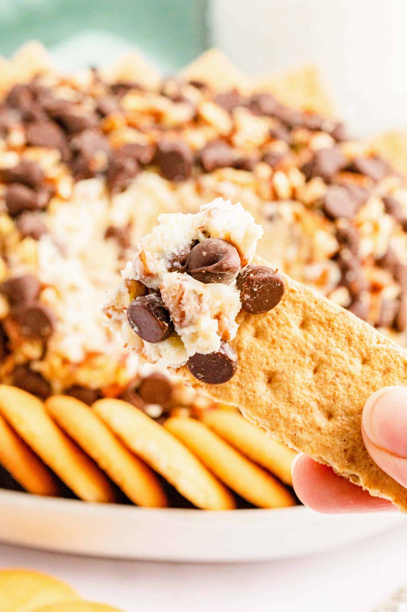 a graham cracker rectangle holding chocolate chip cream cheese dip in front of a dessert cheese ball