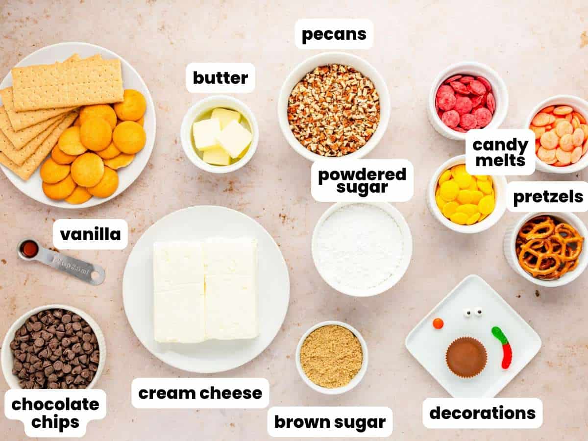 The ingredients needed to make a chocolate chip cheese ball decorated like a turkey. All are measured into bowls and arranged on a counter. Text boxes label each image