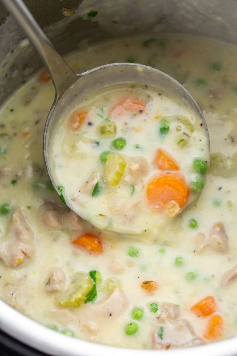 Creamy Instant Pot Chicken Stew - Little Sunny Kitchen