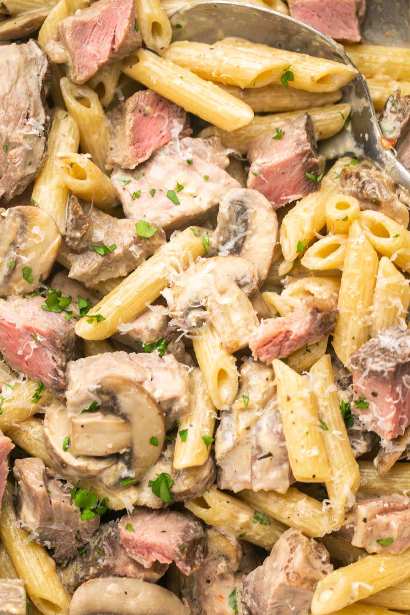 Overhead and close up shot of creamy prime rib pasta with mushrooms