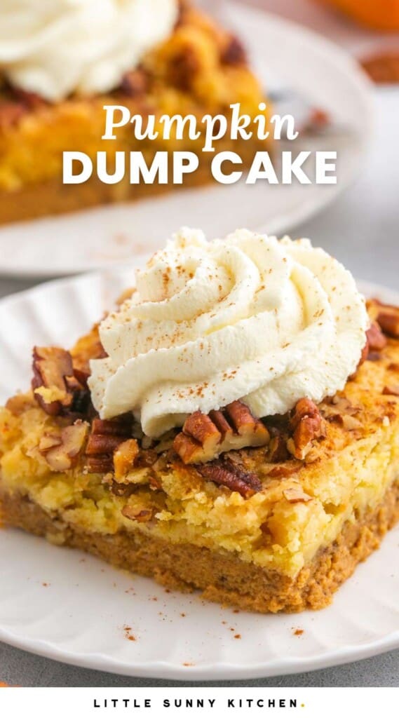 A slice of pumpkin dump cake served on a small white plate, topped with fresh whipped cream. And overlay text that says "Pumpkin dump cake"