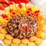 a dessert cheese ball shaped like a turkey with preze and candy melt feathers and a face made from a reeses cup