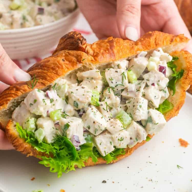 Holding a turkey salad croissant sandwich, lifting it from a white plate.