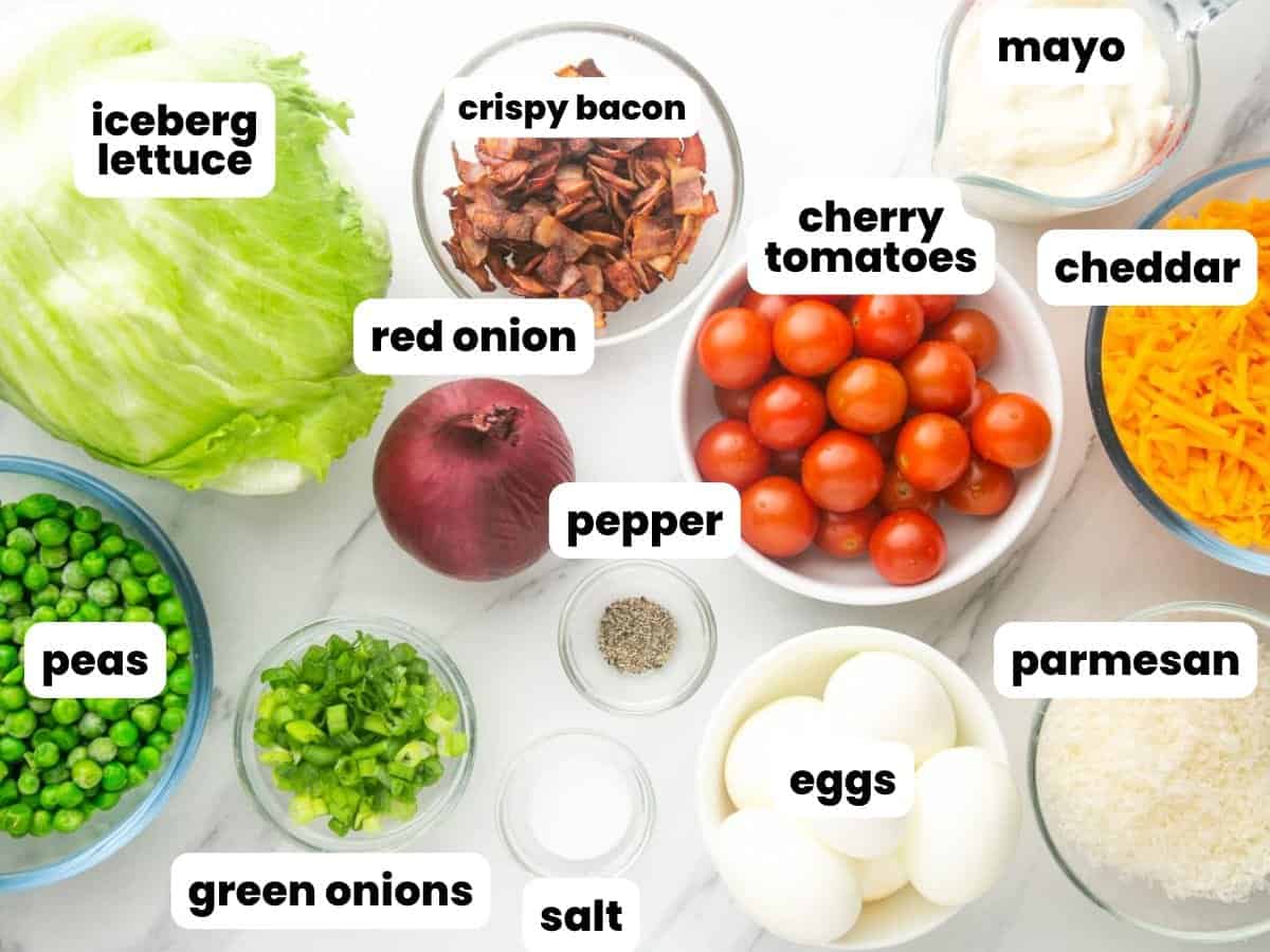 The vegetables, cheeses and seasonings needed to make 7 layer salad, all in separate bowls, arranged on a marble counter. Text boxes label each image.