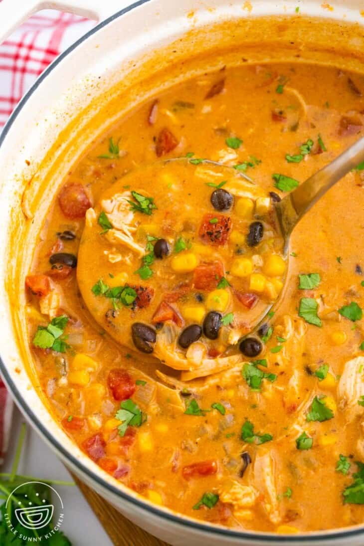 The Best Creamy Chicken Enchilada Soup - Little Sunny Kitchen