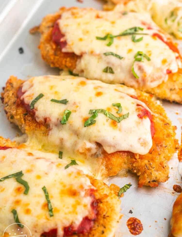 Four chicken parm cutlets lined up on a silver sheet pan.