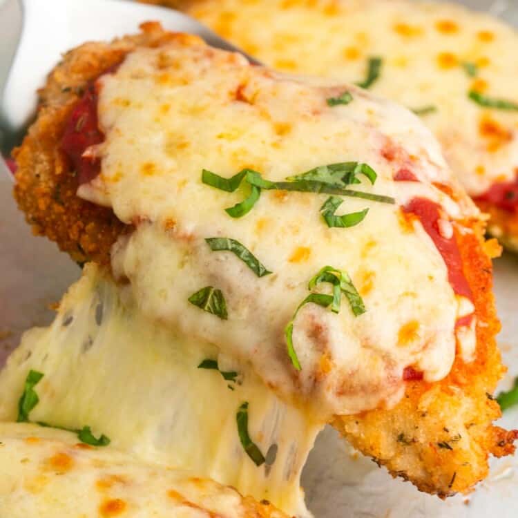 Chicken parmesan cutlets on a sheet pan, topped with sauce, cheese, and chopped basil. A spatula is lifting one off the pan, the mozzarella cheese is stringy.