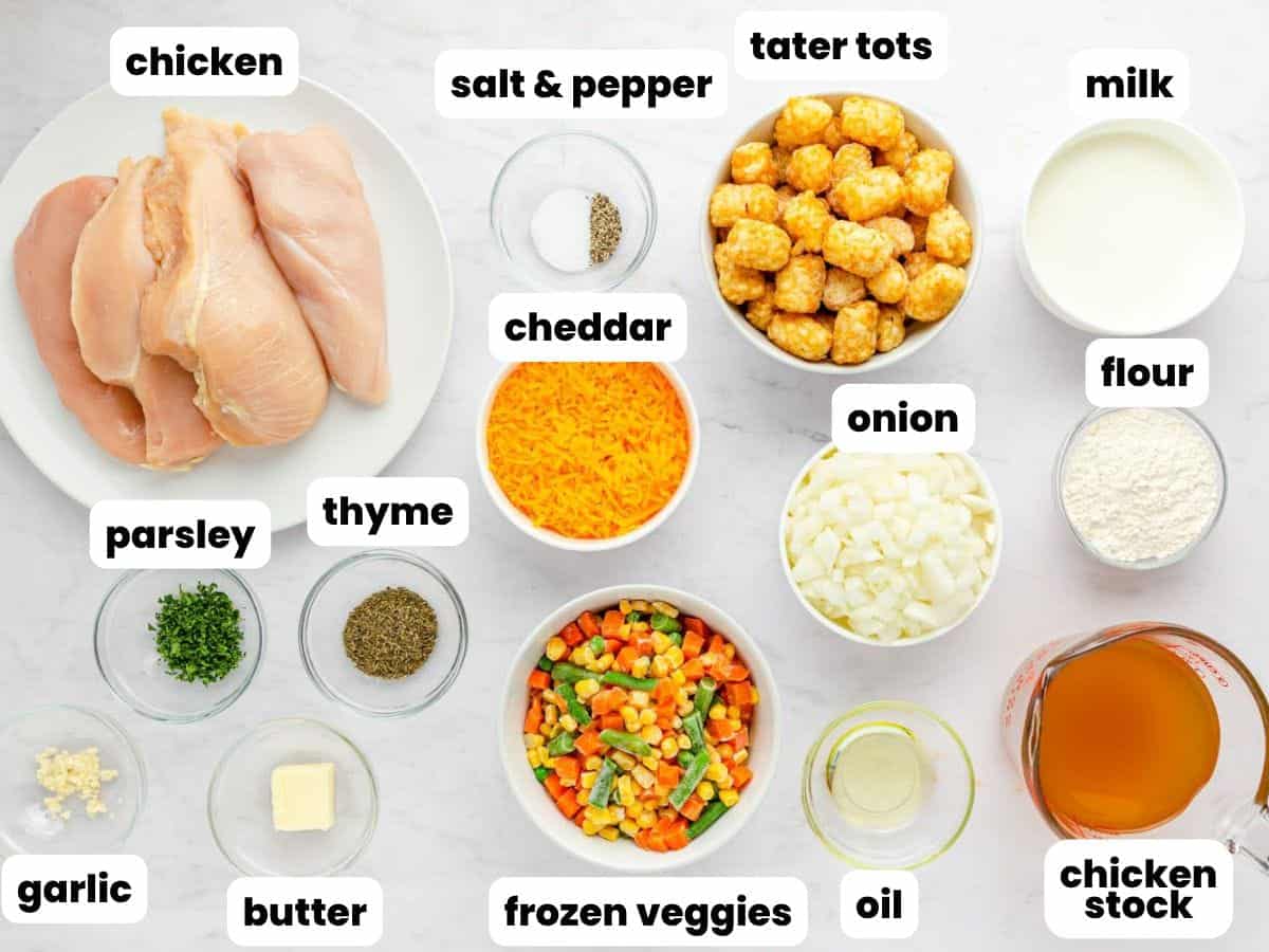 Ingredients needed to make tater tot casserole including chicken, tater tots, frozen veggies, milk, flour, stock, butter, garlic, and seasonings.
