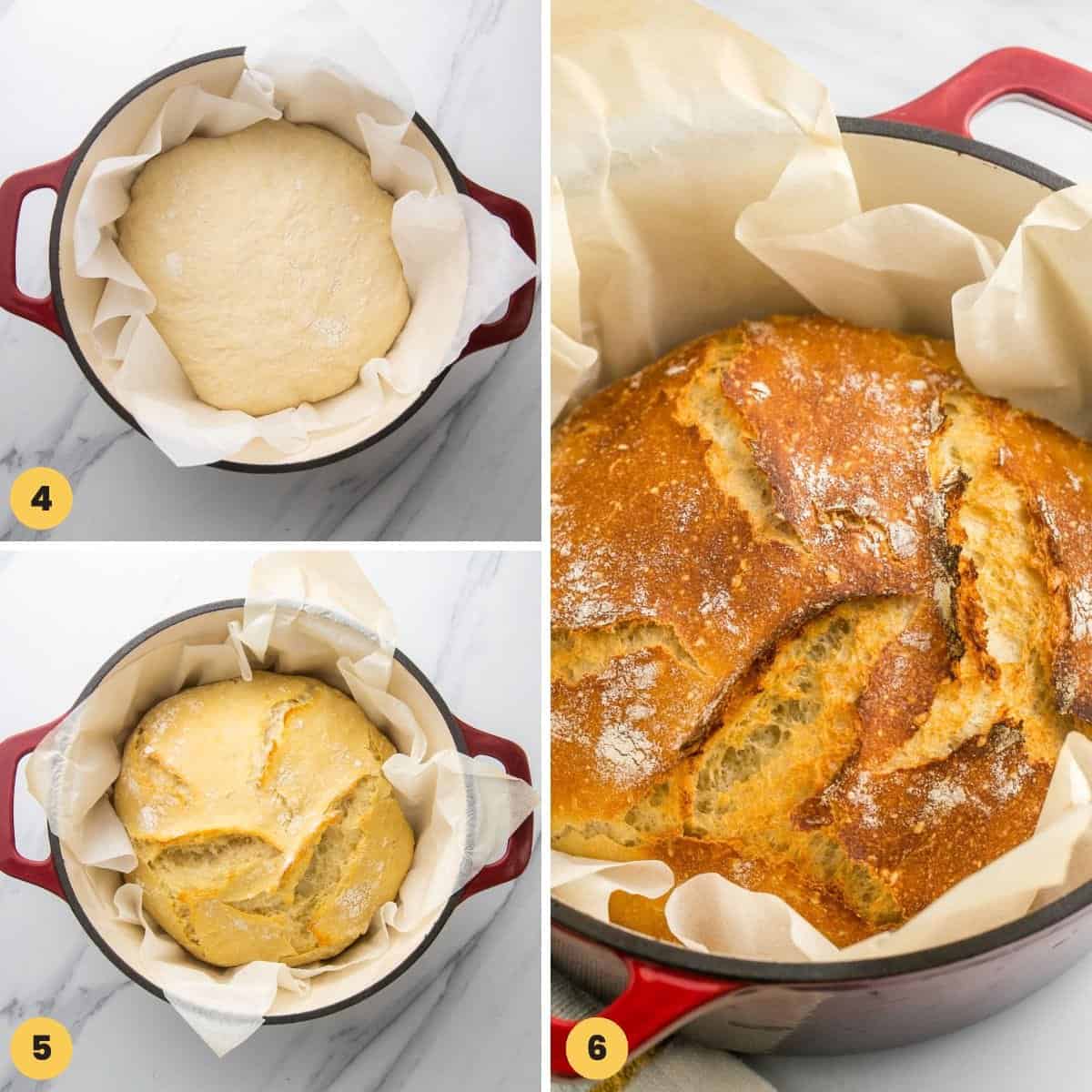 the photos to show how to bake bread in a dutch oven.