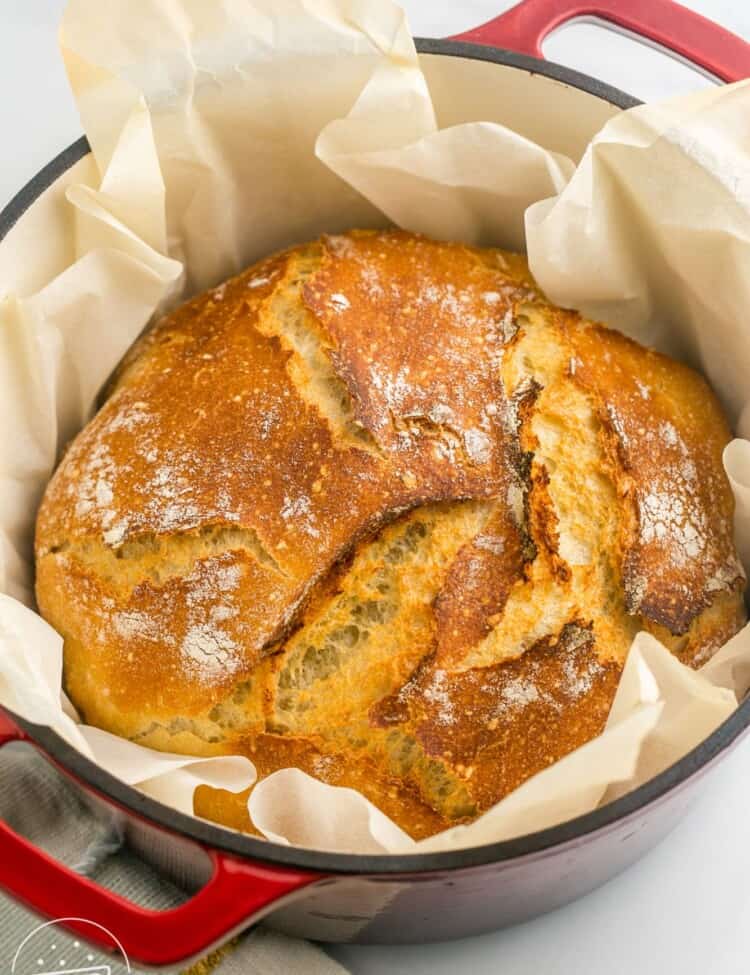 a dutch oven lined with parchment paper, holding a loaf of no knead bread.