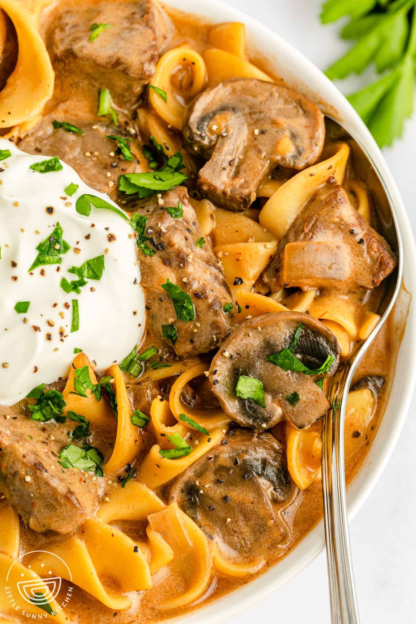 Closeup image of a bowl of soup with beef stroganoff, egg noodles, mushrooms, and sour cream topping.
