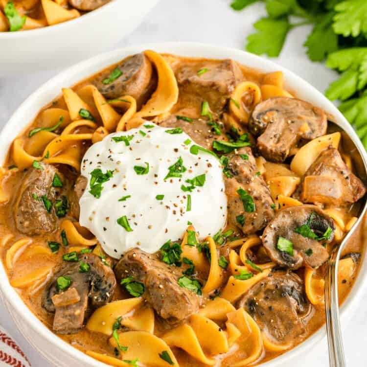 a bowl of soup with beef stroganoff, egg noodles, mushrooms, and sour cream topping.