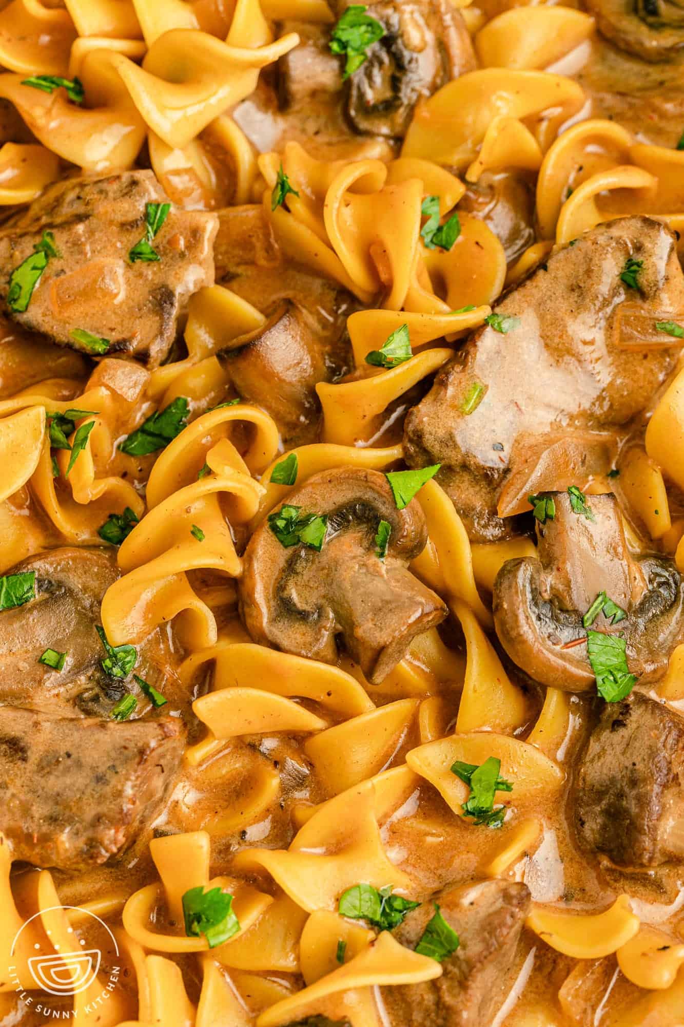 Closeup view of hearty beef stroganoff soup with mushrooms and noodles.
