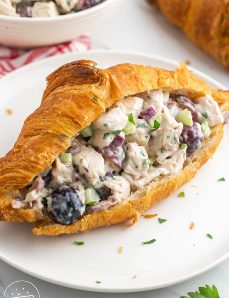 a large croissant cut in half and stuffed with homemade chicken salad with grapes and almonds.