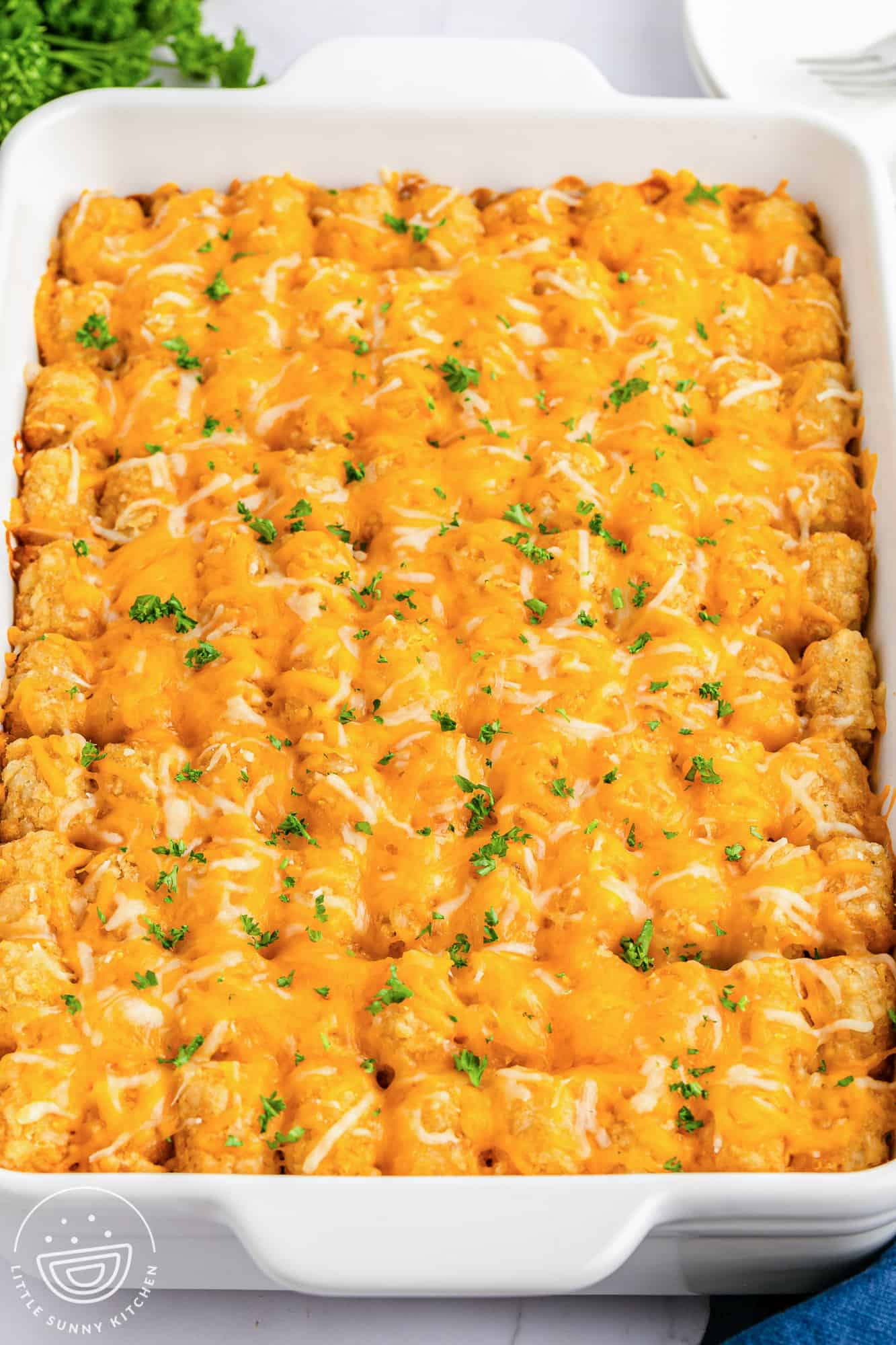 a white rectangular casserole topped with cheesy tater tots.