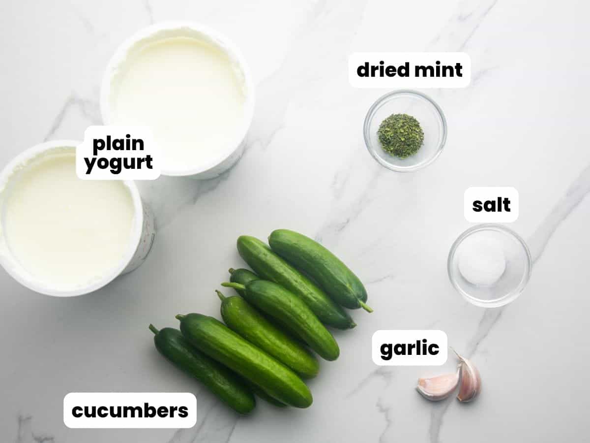 Ingredients needed to make middle eastern cucumber yogurt sauce