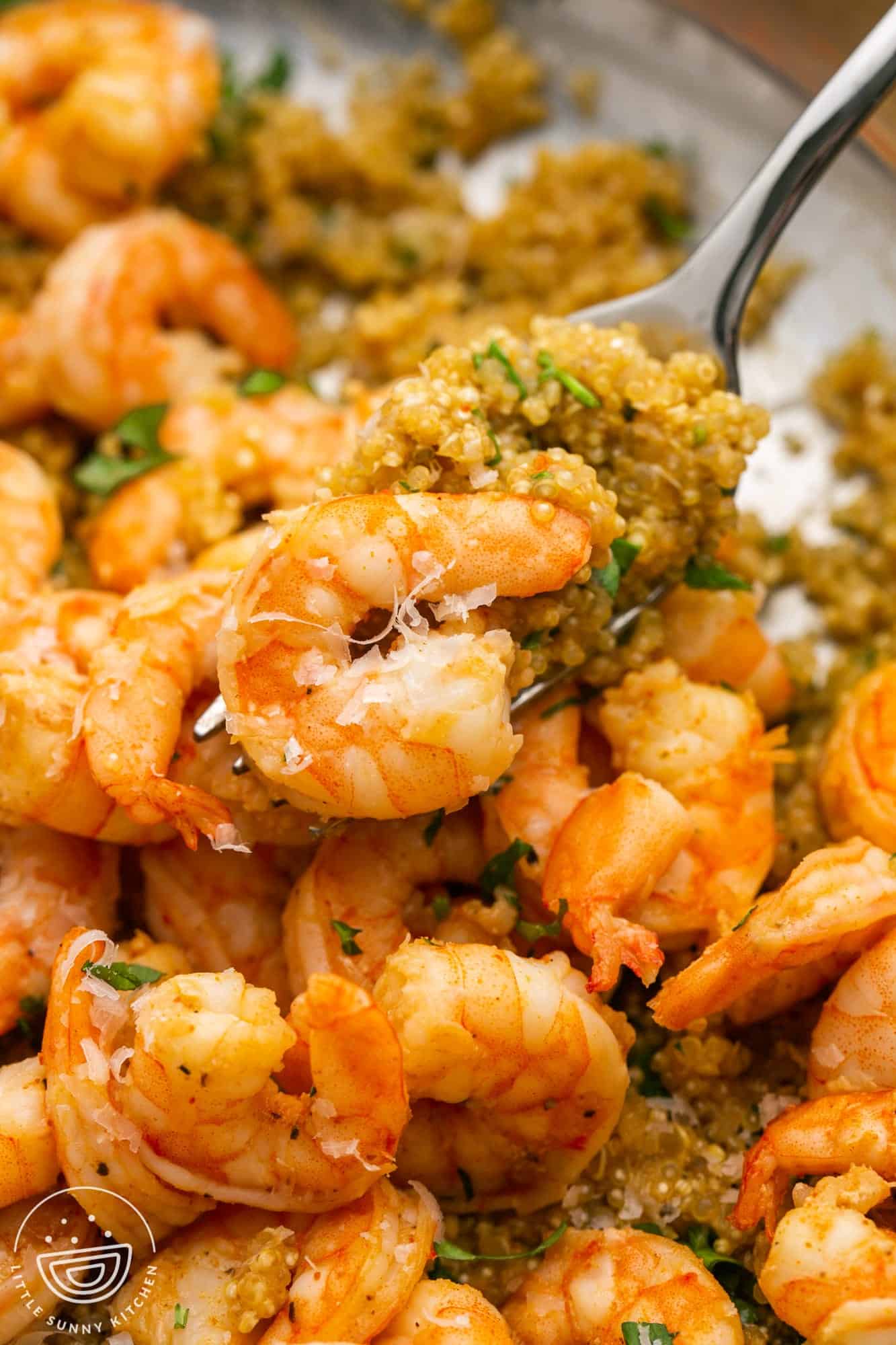 closeup view of a plate of shrimp and quinoa, a fork is holding up a bite.