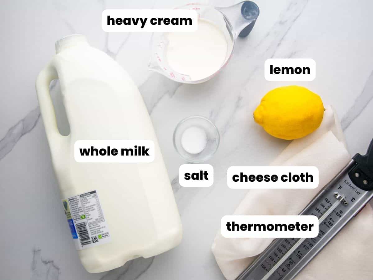 The ingredients and tools you need to make ricotta cheese at home.