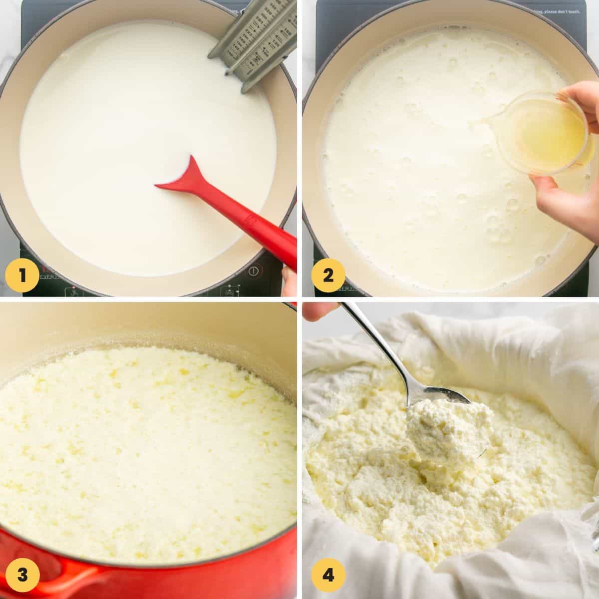 a collage of 4 images showing how to make ricotta cheese from scratch.