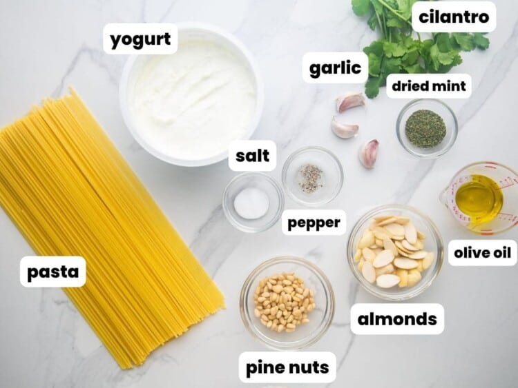 Yogurt Pasta Sauce Macarona Bil Laban Little Sunny Kitchen