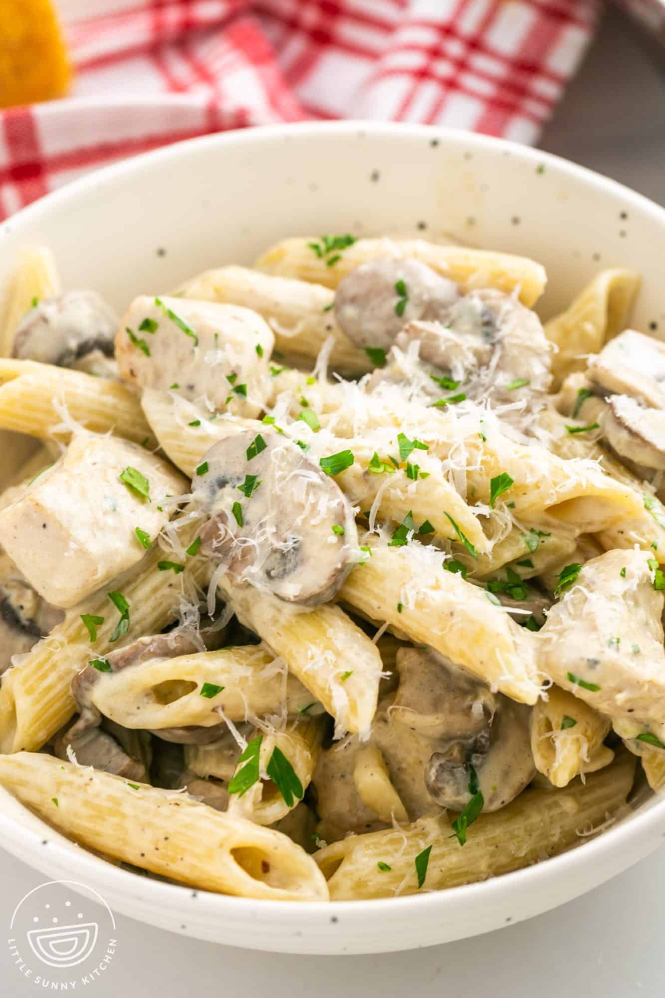 a bowl holding a serving of creamy chicken and mushroom pasta.