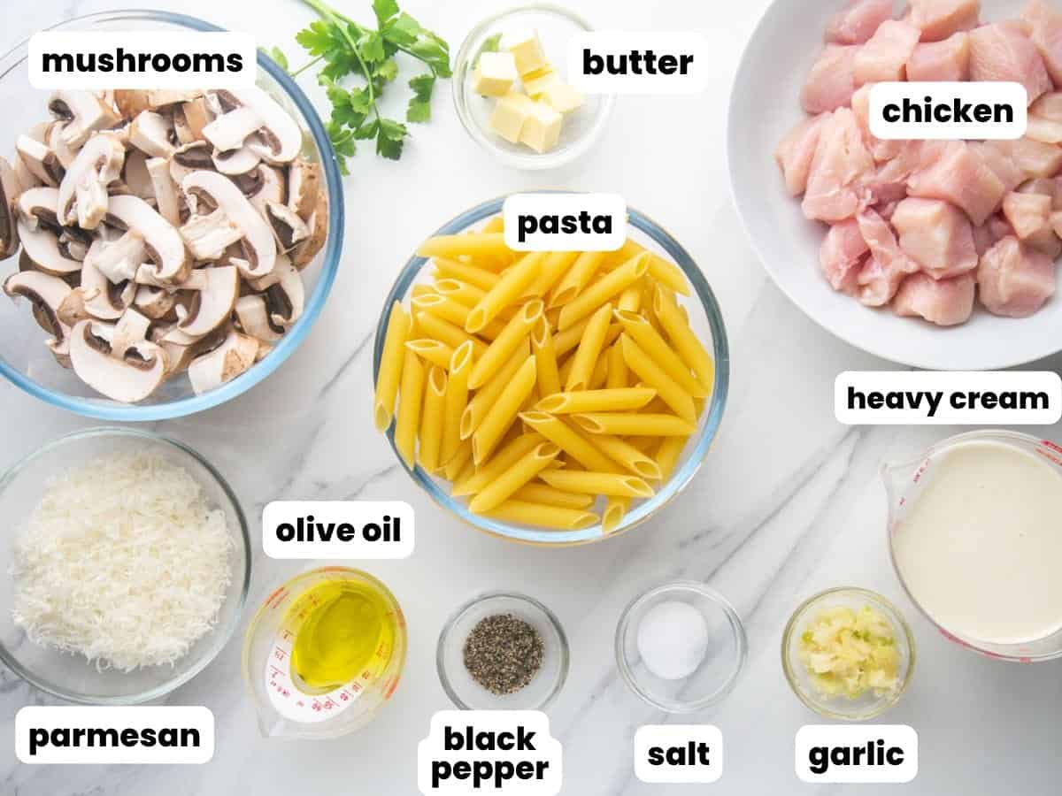 The ingredients for mushroom and chicken pasta, including bowls of raw chicken pieces, dry pasta, fresh sliced mushrooms, parmesan cheese, and heavy cream, arranged on a counter.
