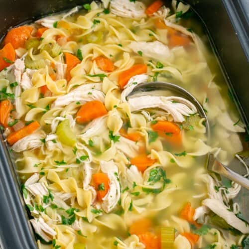 Slow Cooker Chicken Noodle Soup - Little Sunny Kitchen