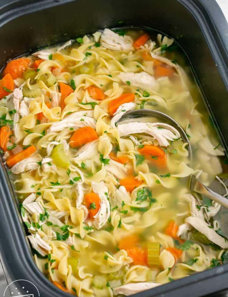 Chicken noodle soup in a large rectangular slow cooker.
